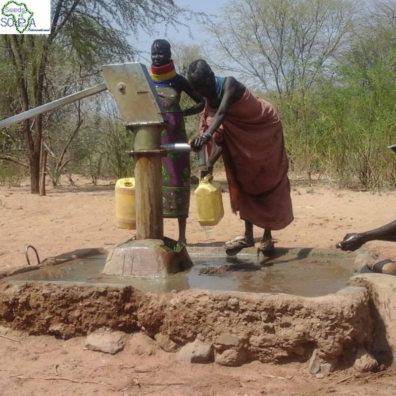 Water, sanitation and hygiene (WASH)